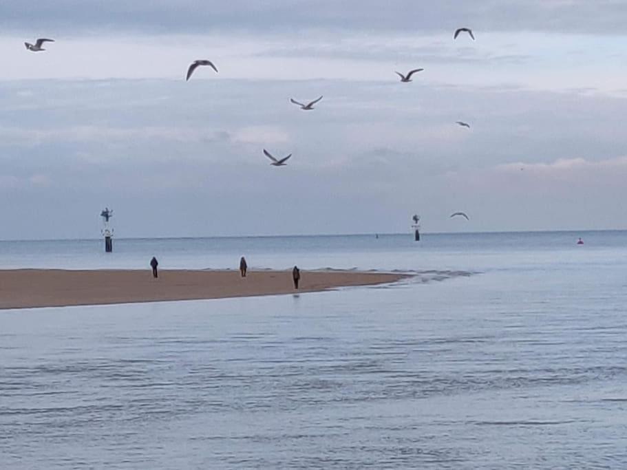 La Baleine - Hyper Centre, Charme Et Calme A Deux Pas De La Mer Cabourg Exteriér fotografie